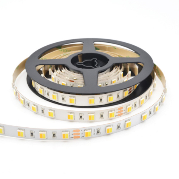 5050 Adjustable Color Flex LED Strip-2 in 1